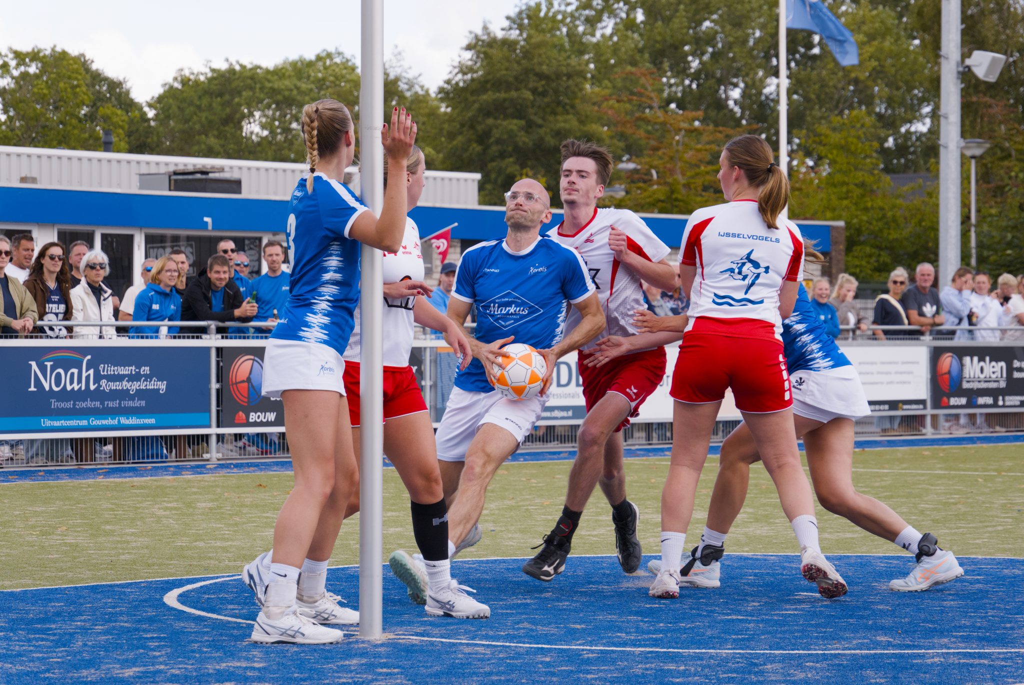 Korbis flinke maat te groot voor IJsselvogels